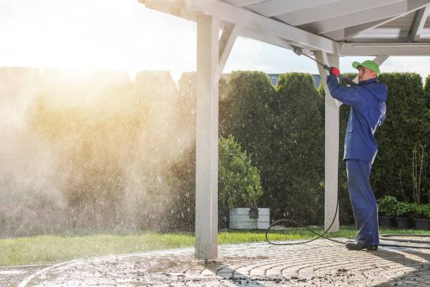 Best Driveway Pressure Washing  in Greenwood, MO